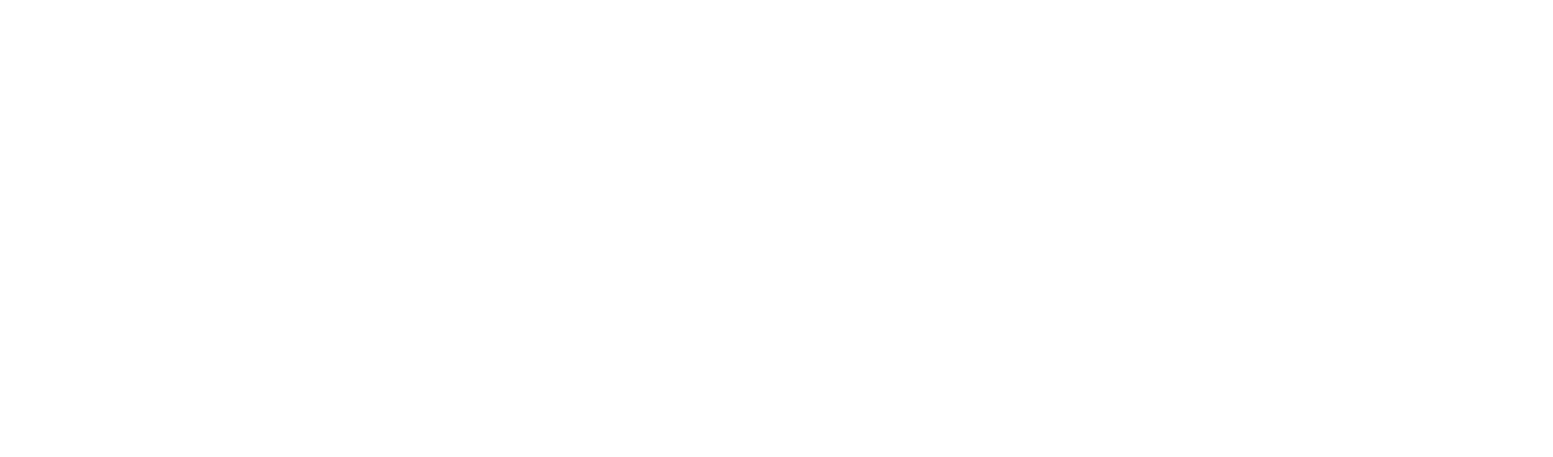 Sibtain Jan logo